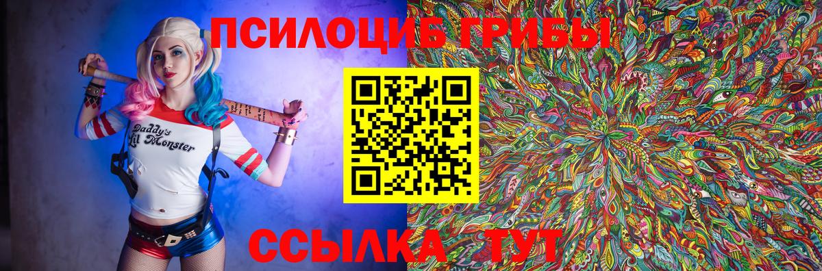 Псилоцибиновые грибы Magic Shrooms Балтийск