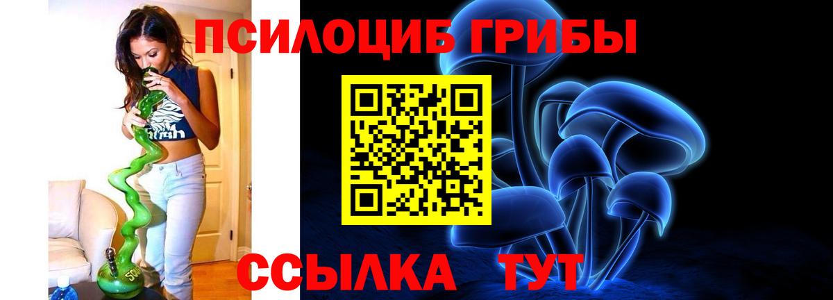 Псилоцибиновые грибы Psilocybine cubensis  Вход с VPN  Балтийск 