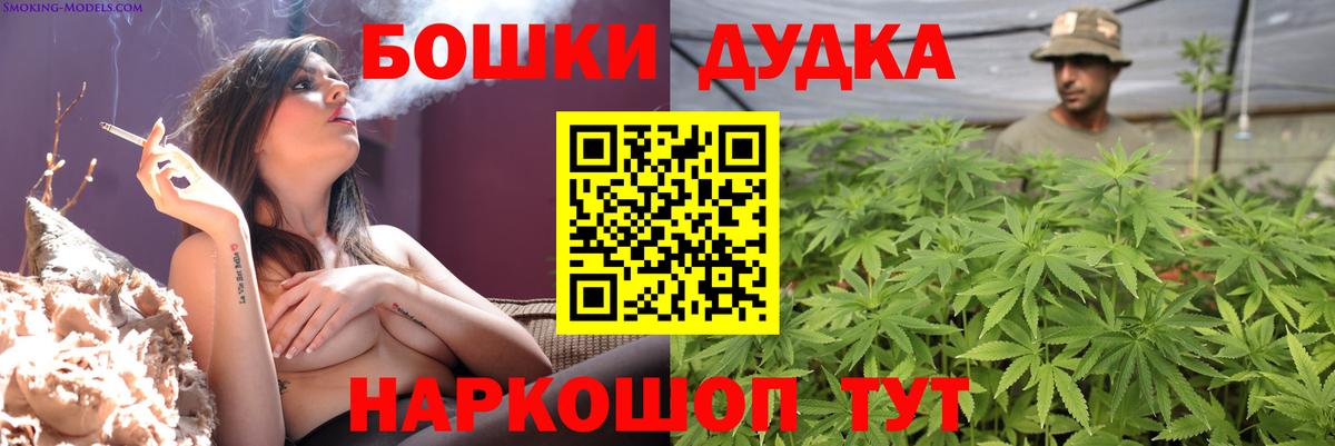 Канабис индика Балтийск